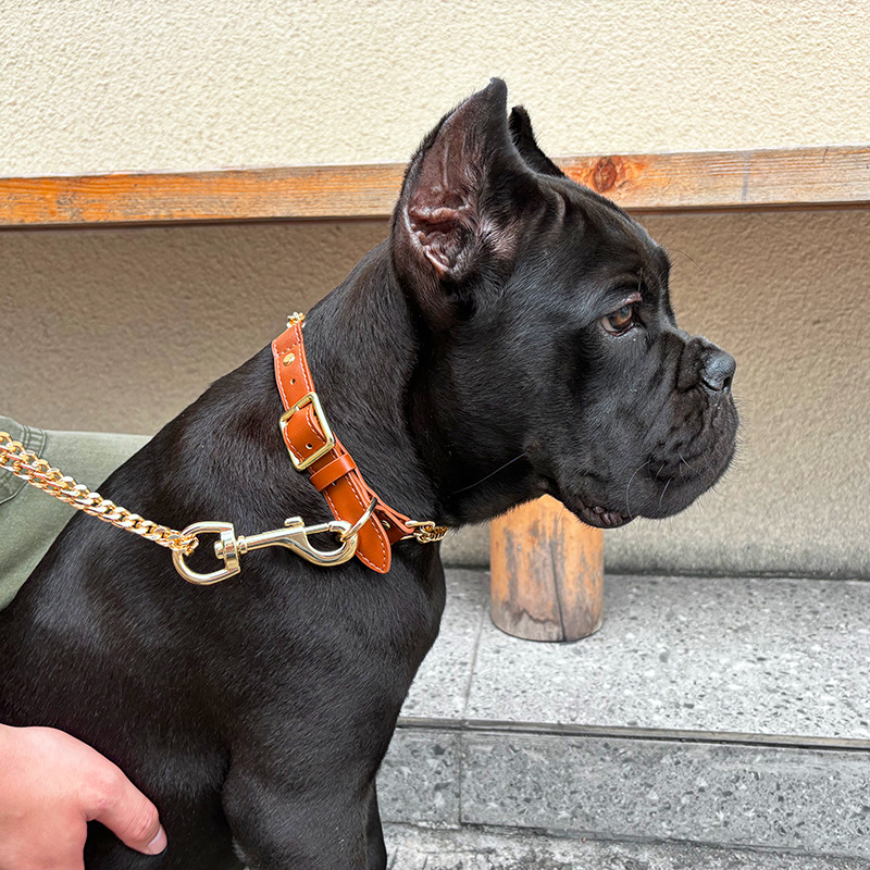 Loudik Wholesale Pet Collar Le - Leather Strap Quick Release incelemesi ve fiyatı